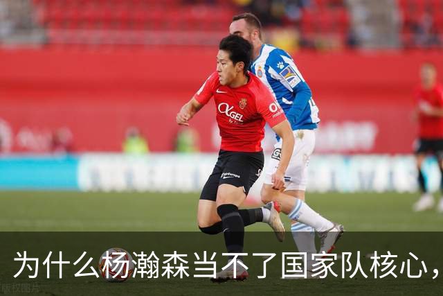 为什么杨瀚森当不了国家队核心，国家队后卫和夏联后卫区别在哪？