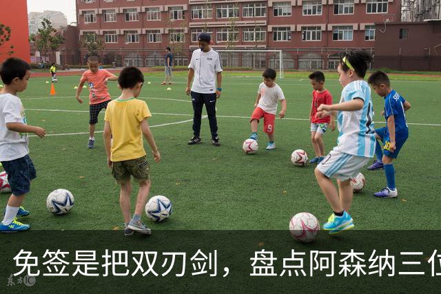 免签是把双刃剑，盘点阿森纳三位经典自由转会引援，成败差距悬殊