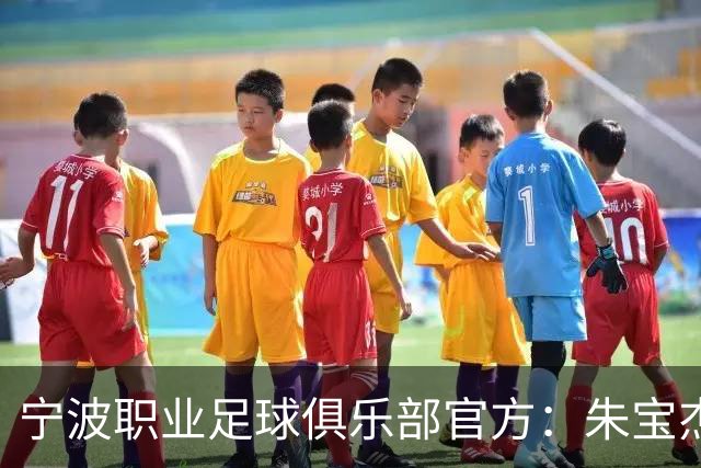 宁波职业足球俱乐部官方：朱宝杰、刘博洋、艾迪等8名球员离队