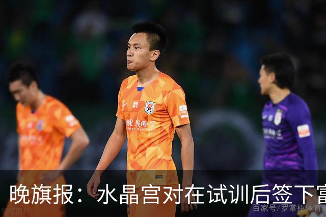 晚旗报：水晶宫对在试训后签下富安健洋持开放态度