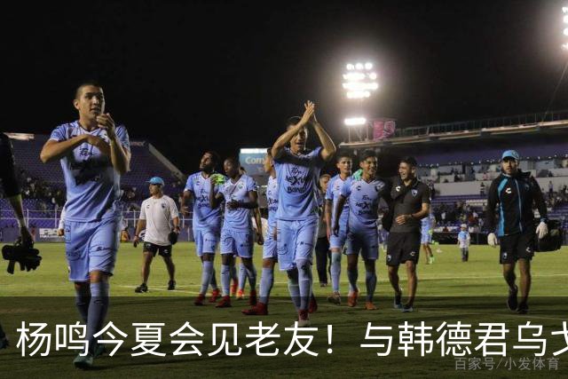 杨鸣今夏会见老友！与韩德君乌戈聚餐超开心，搭档哈德森参加活动