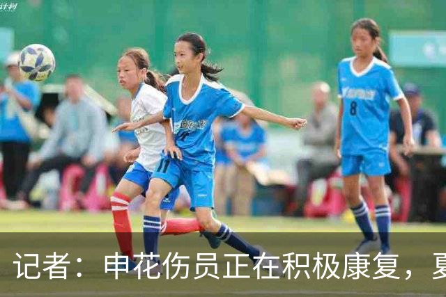 记者：申花伤员正在积极康复，夏窗人员调整工作稳步推进中