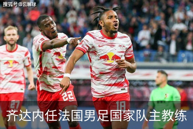 齐达内任法国男足国家队主教练